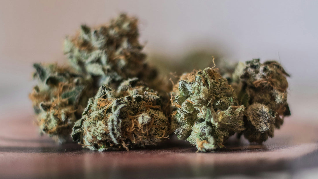 THCA vs. Delta 8: What's The Difference?