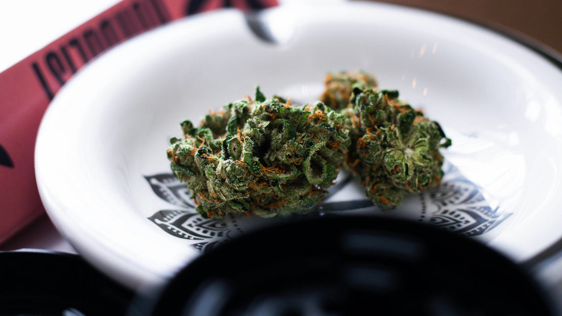 Cannabis 101: How Flower Interacts With Your Body