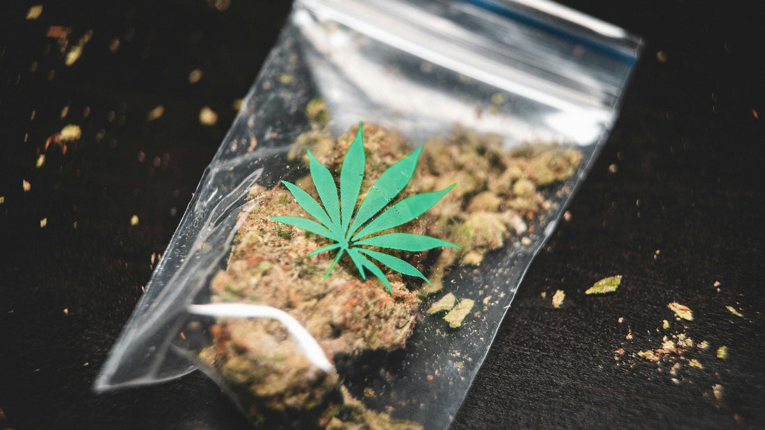 Does Hemp Show Up On A Drug Test?