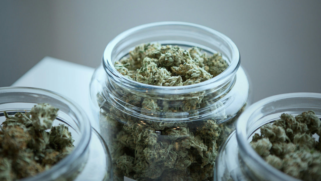 Why Do Some Strains Smell Fruity, Gassy, or Sweet?