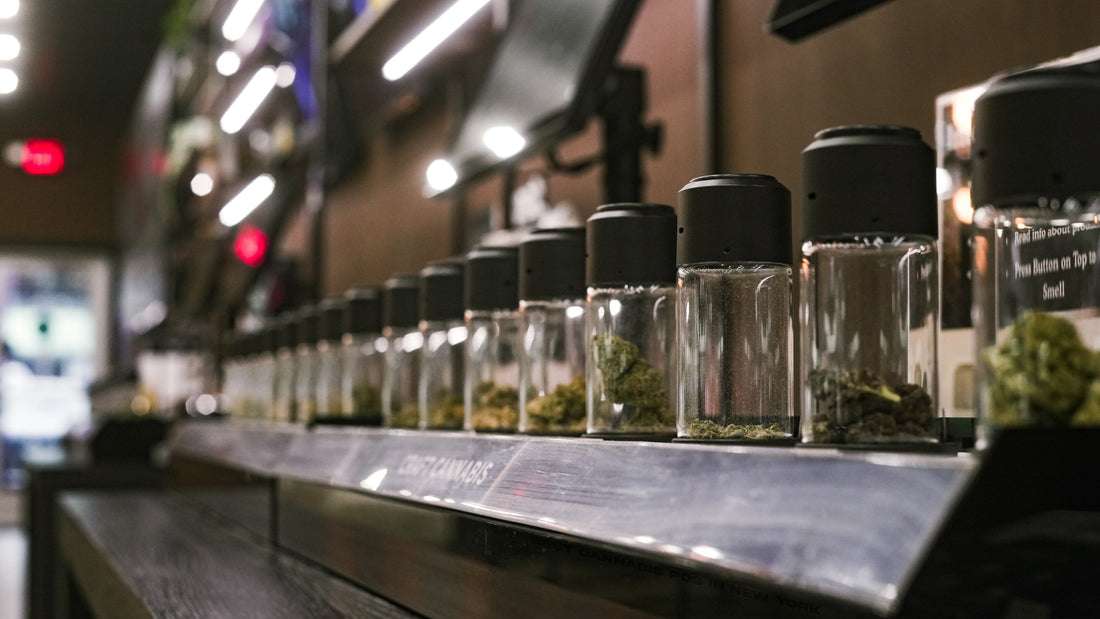 Indica, Sativa, Hybrid: The Cannabis Strain Showdown