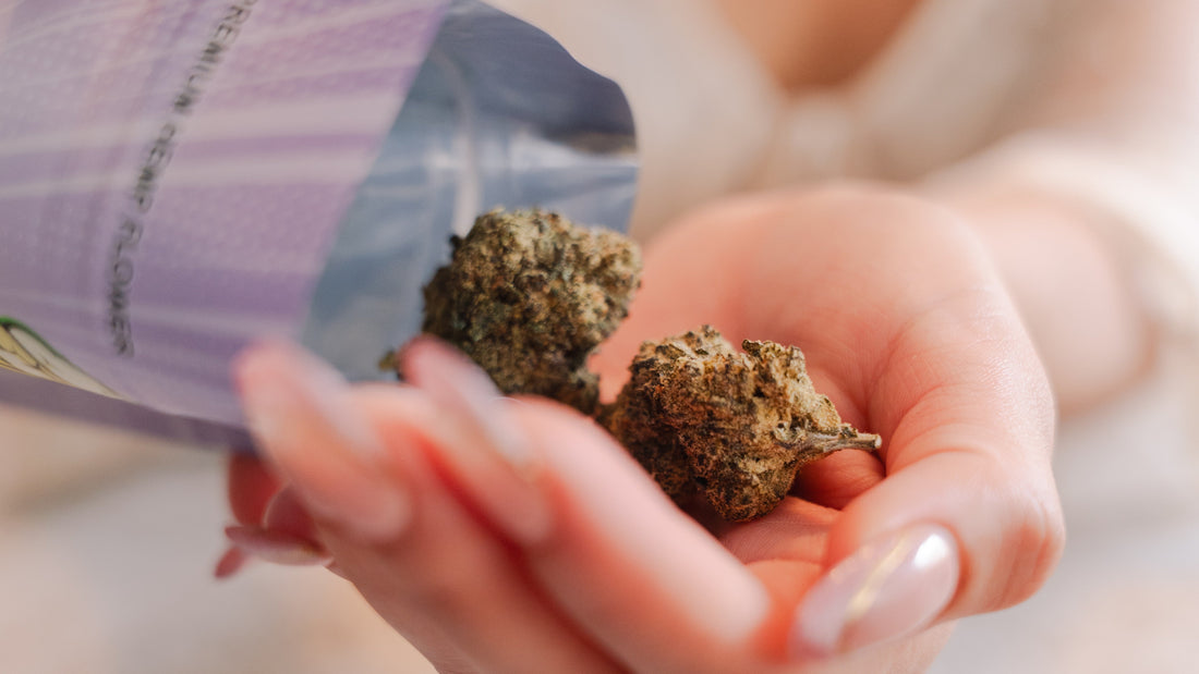 Where Is THCA Legal? A State-By-State Guide