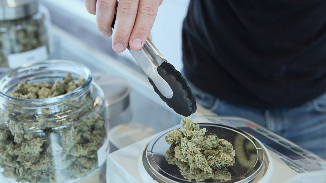 How Strong is THCA Flower Compared to Dispensary Weed? A Breakdown